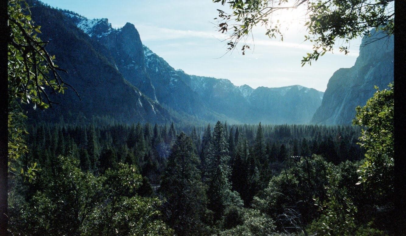 A dense forest fills a valley surrounded by mountains, with sunlight shining through tree branches in the foreground.