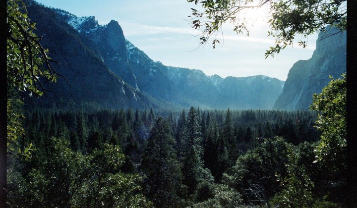 A dense forest fills a valley surrounded by mountains, with sunlight shining through tree branches in the foreground.