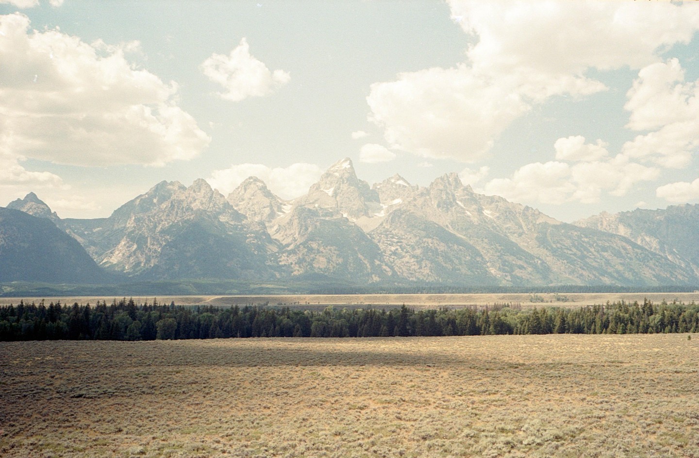 A vast field of dry grass and a line of evergreen trees sit before a range of mountains under a cloudy sky.