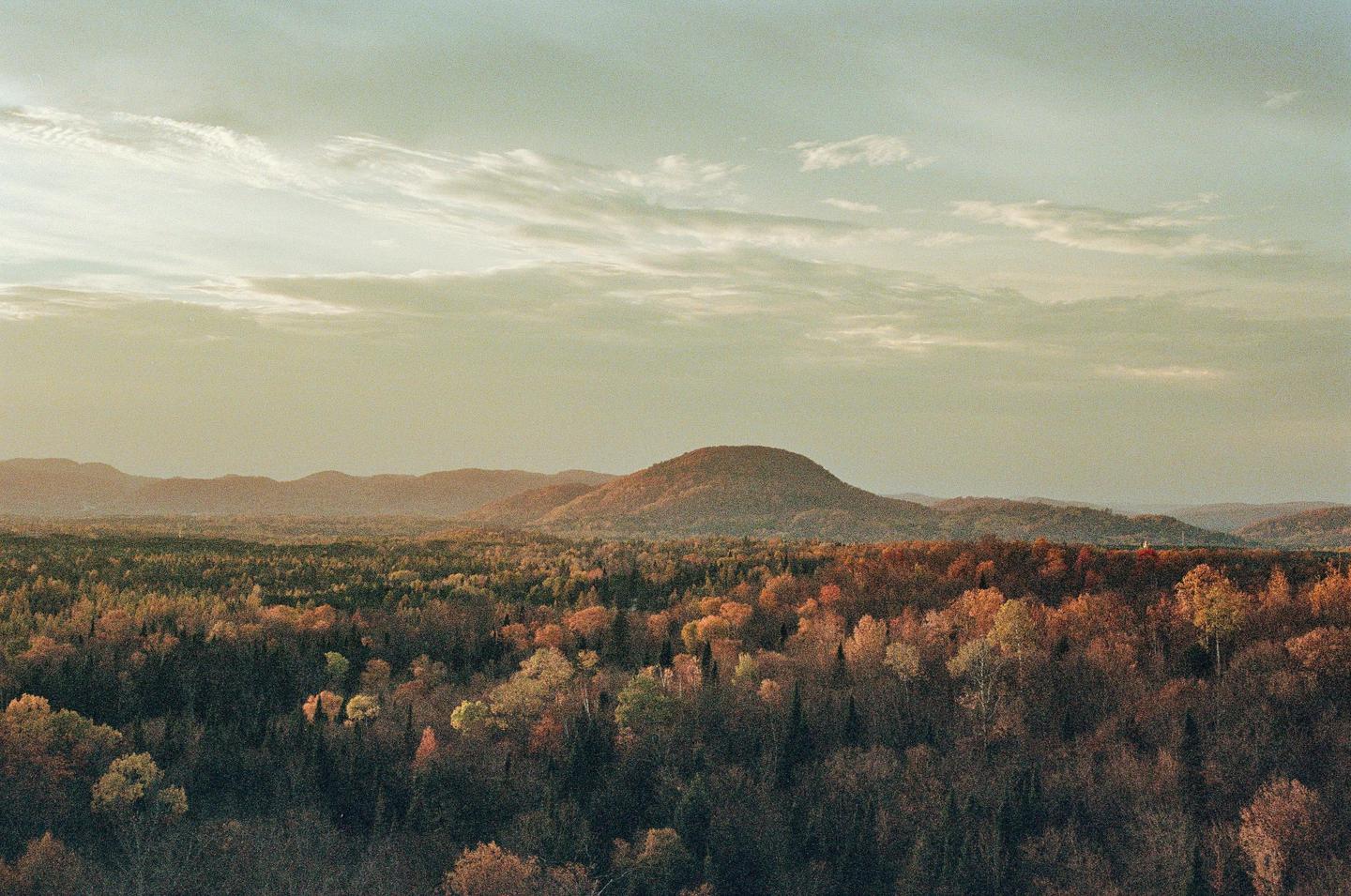 A wide landscape shows a forest with autumn foliage and hills under a cloudy sky.