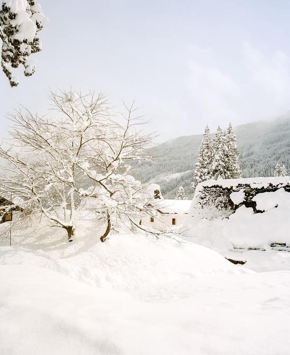 A snow-covered landscape features a bare tree in the foreground, with houses and a mountain range in the background.
