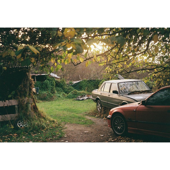 Two cars are parked on a dirt path next to a grassy area with overgrown vegetation and a small shed.