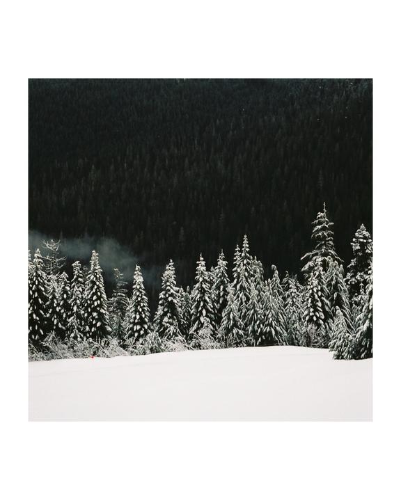 A snowy field leads to a line of snow-covered evergreen trees with a dark forest in the background.
