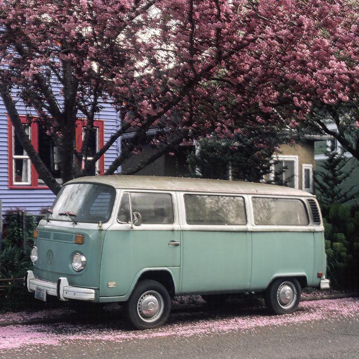 A light green van is parked on a street next to a house with a blooming tree overhead.