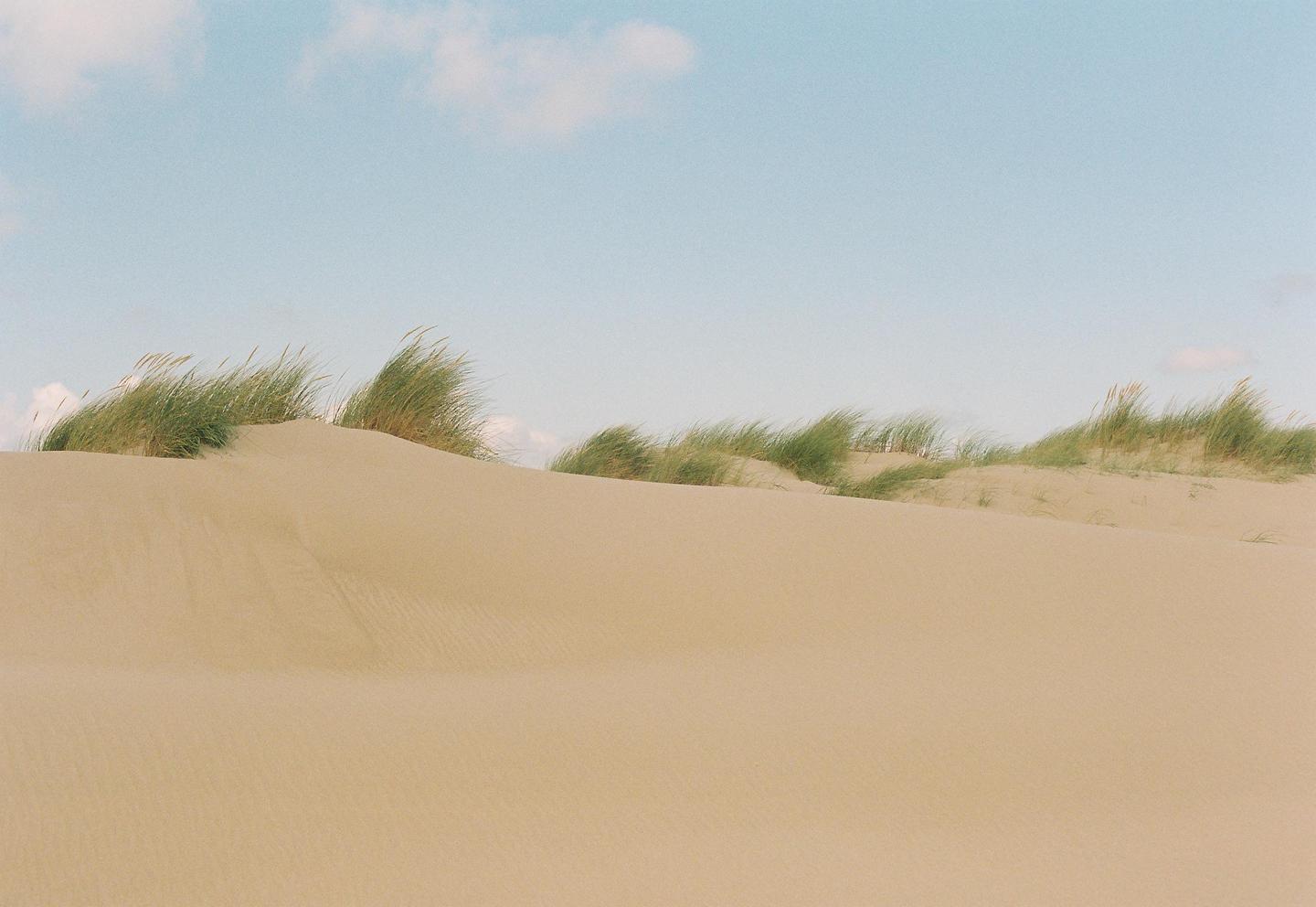 A landscape shot shows sand dunes with patches of green grass under a light blue sky with a few clouds.