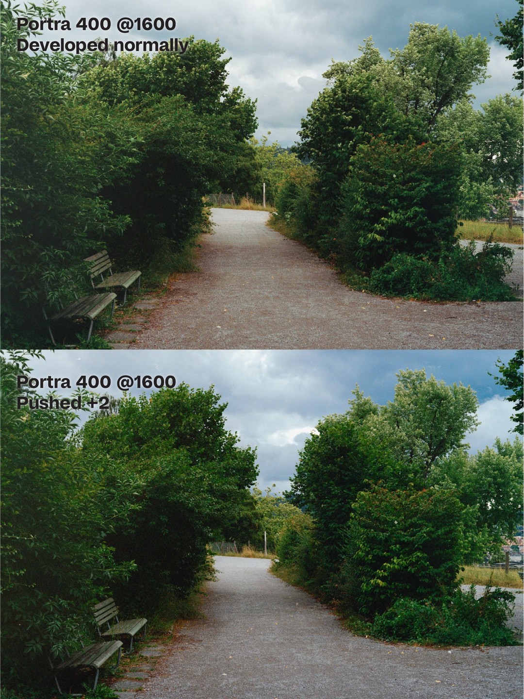 A gravel path leads through a park with green trees and bushes under a cloudy sky, with two wooden benches visible on the left.