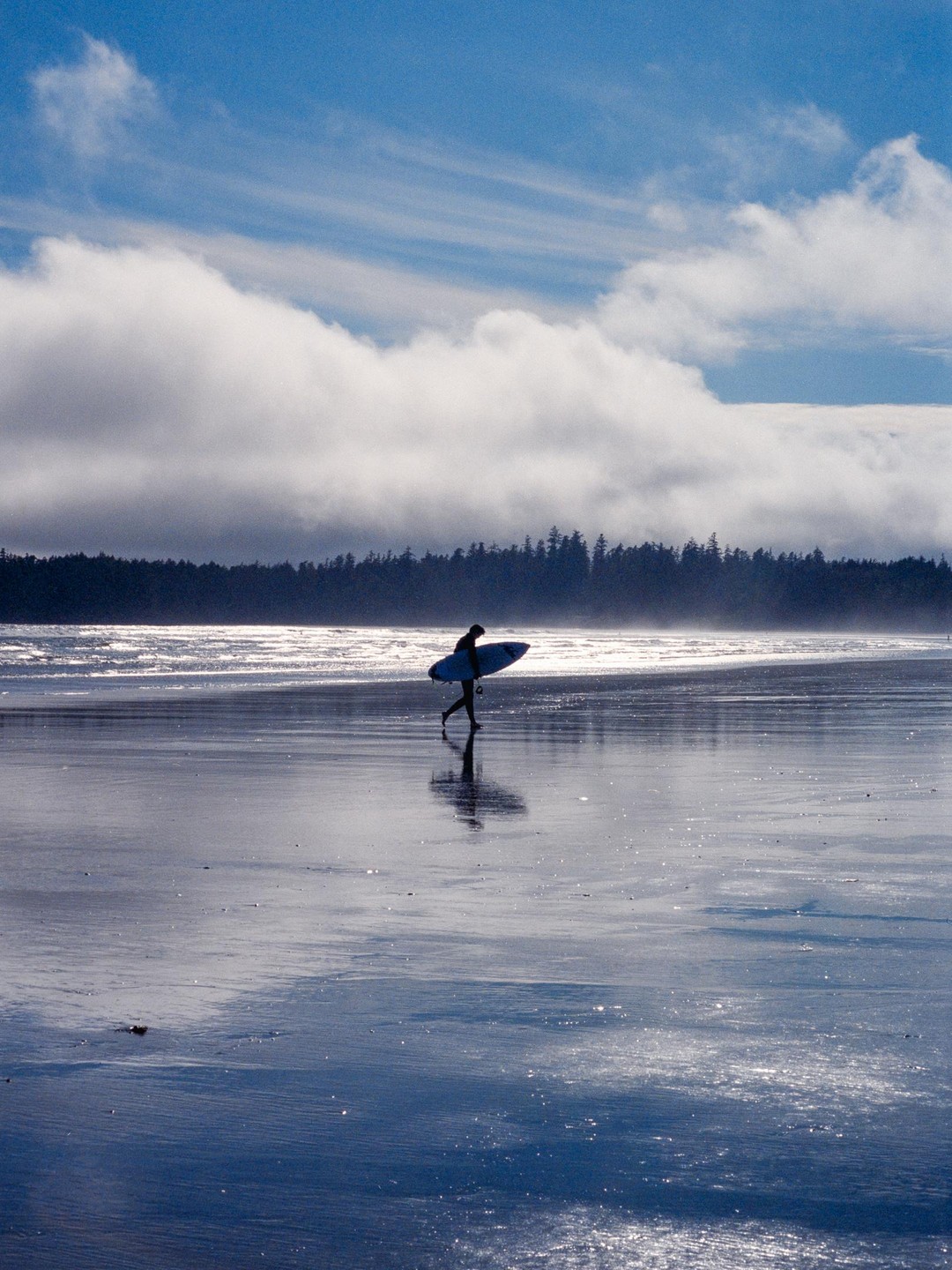 A surfer walks along a wet beach with a surfboard under a cloudy sky.