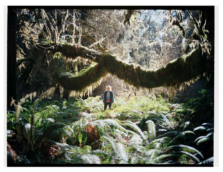 A woman stands under a large moss-covered tree branch in a forest of ferns.