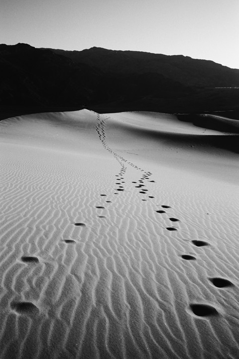Footprints lead up a sand dune towards a mountain range under a bright sky.