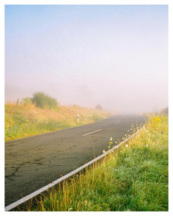 A road curves through a foggy landscape with grass and wildflowers on the side.
