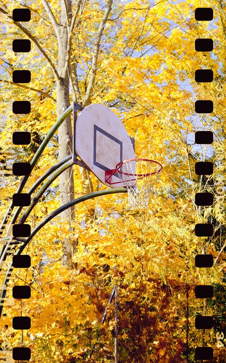 A basketball hoop is visible through bright yellow autumn foliage.