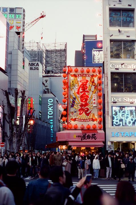 A large crowd of people stands on a street in front of tall buildings with neon signs and a large illuminated sign with red lanterns.