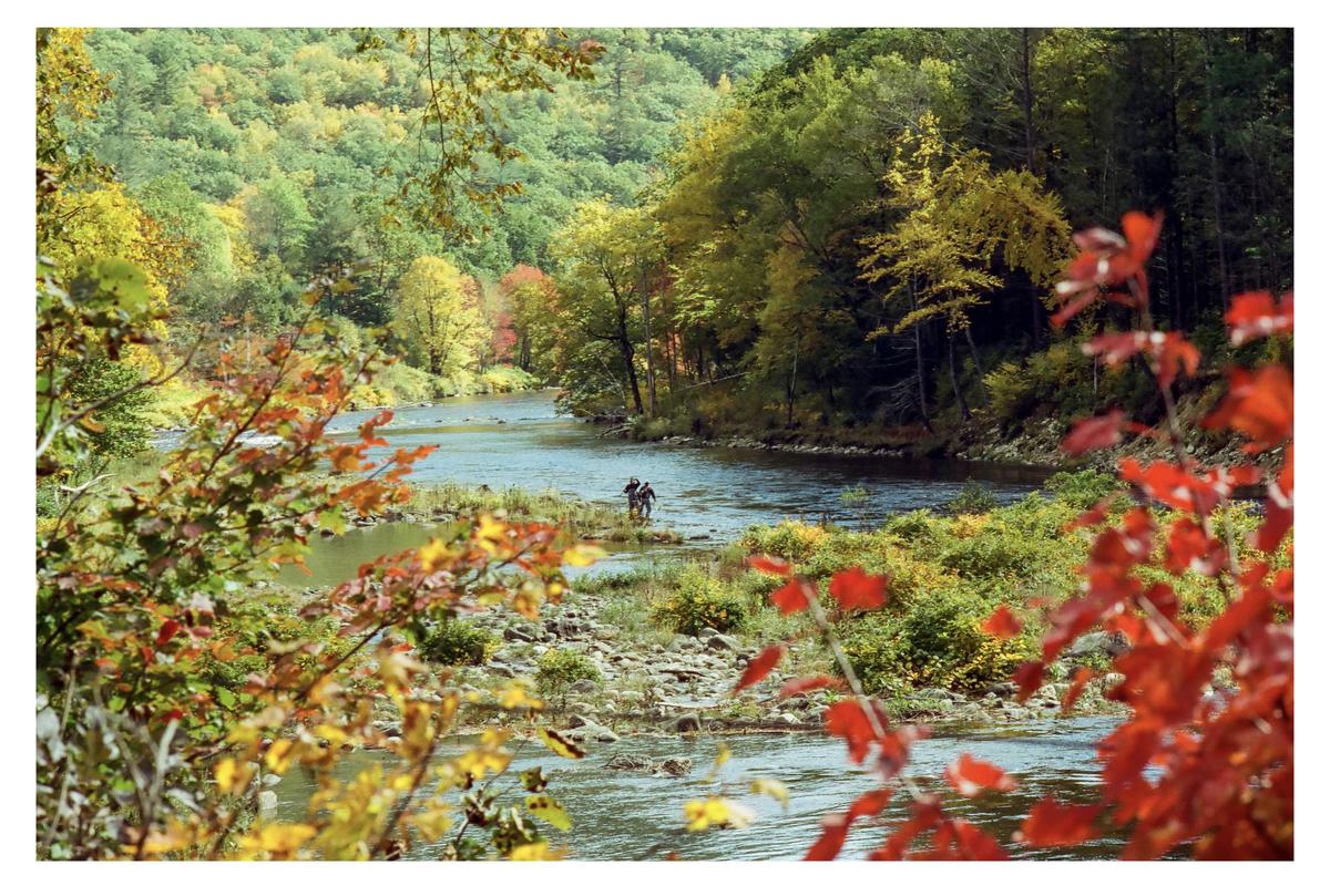 Two fishermen stand in a river surrounded by autumn foliage.