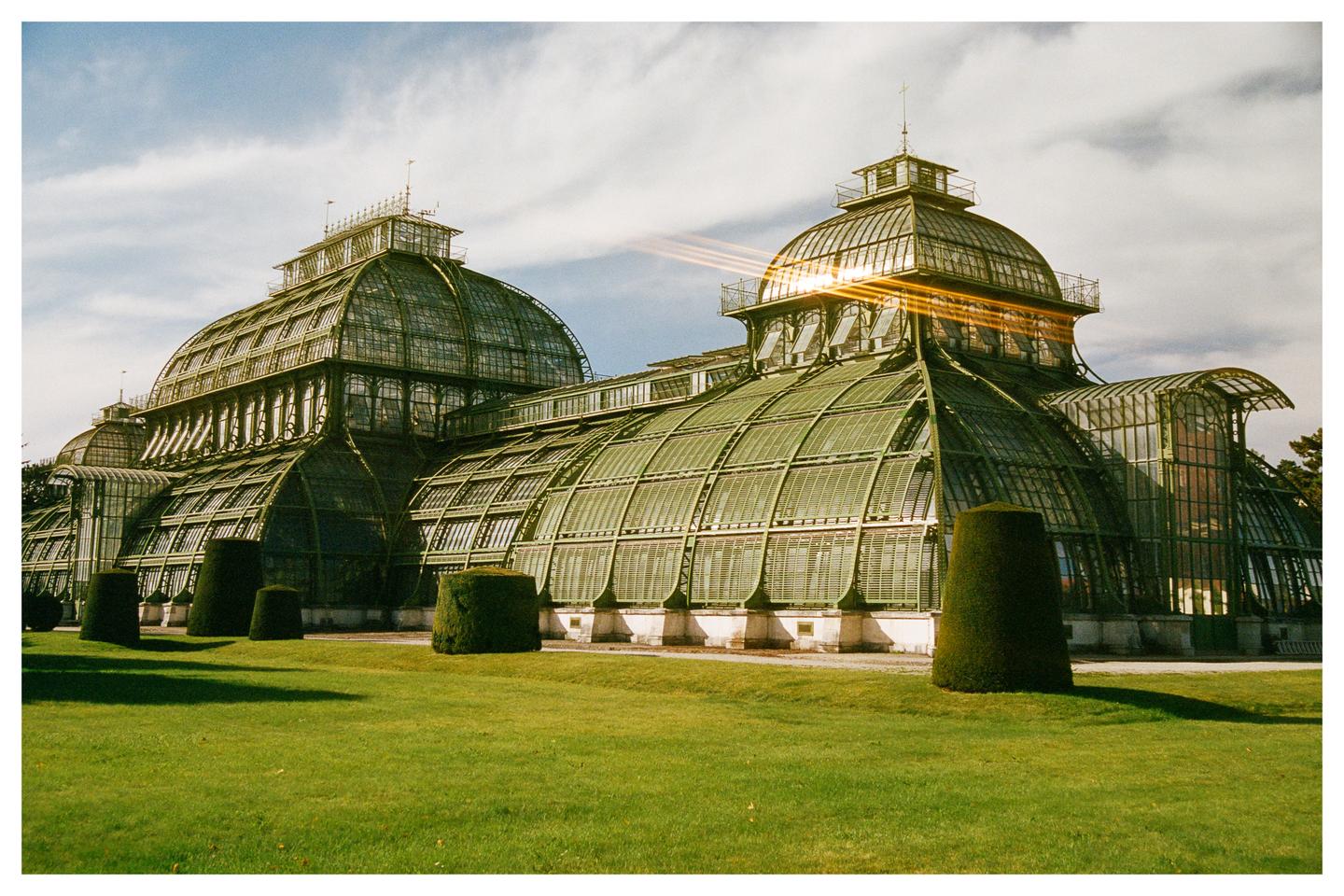 Sunlight shines on a large greenhouse with a glass and metal roof, surrounded by green grass and trimmed bushes.