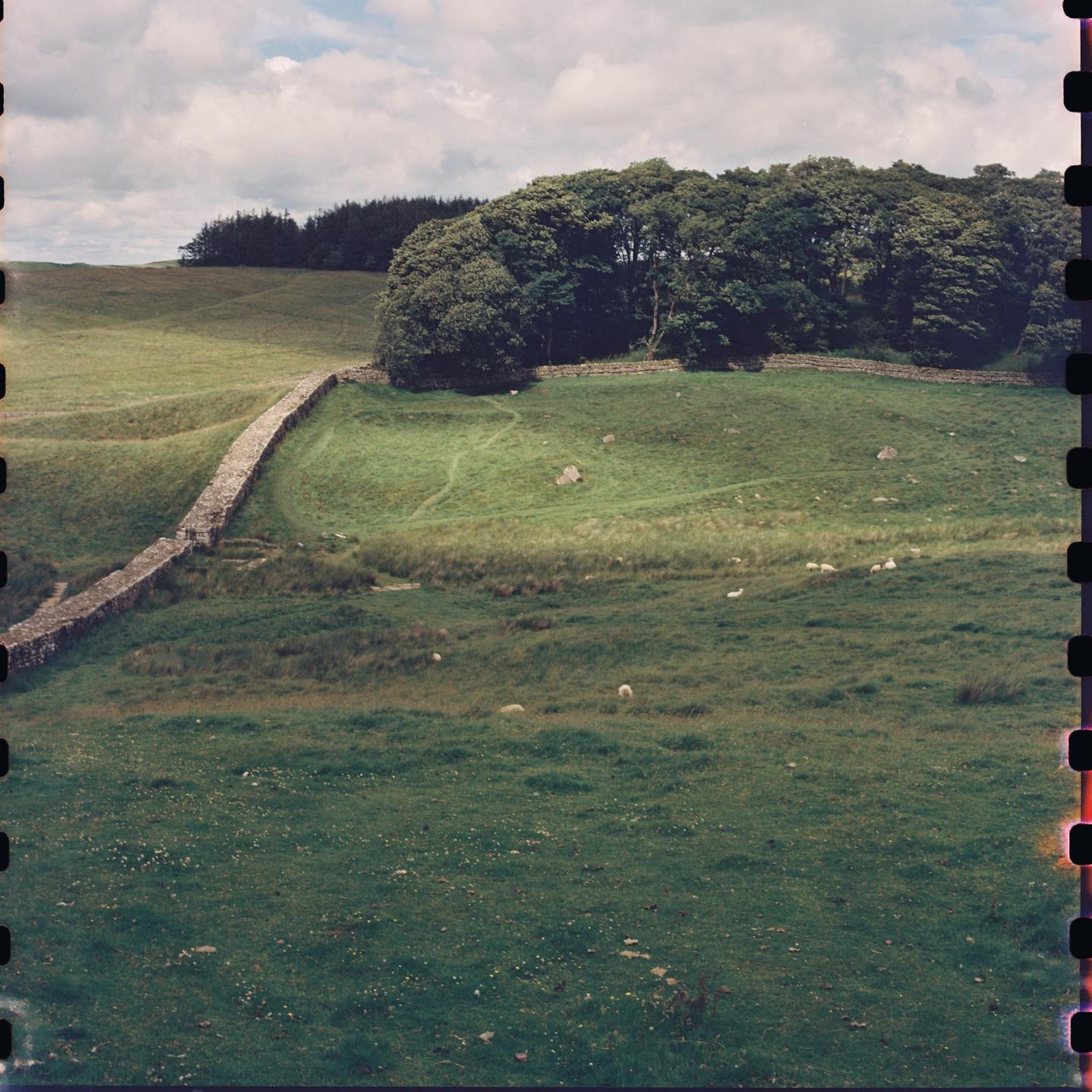 A stone wall winds through a green, hilly landscape with trees under a cloudy sky.