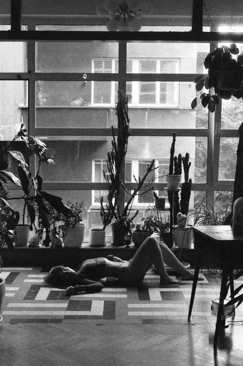 A woman lies on a patterned floor in front of a window with many potted plants and a view of a building.
