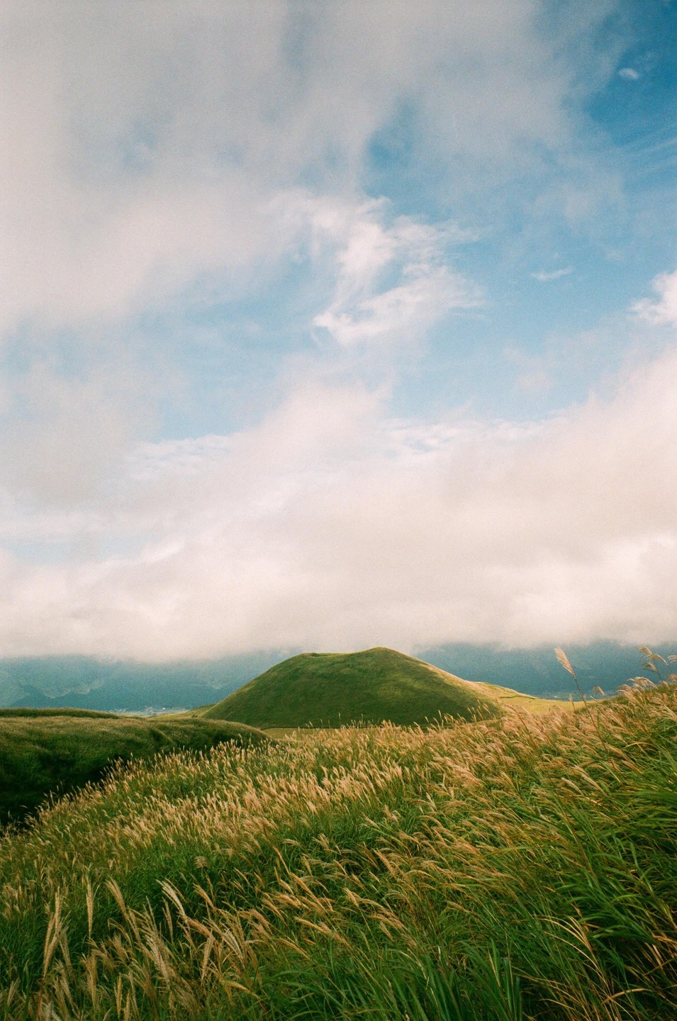 A green hill rises from a field of tall grass under a cloudy sky.