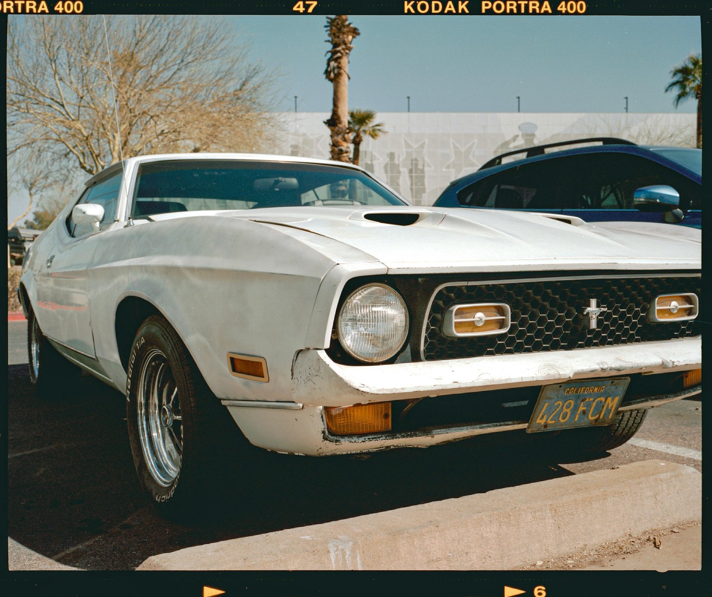 A white Ford Mustang Mach 1 is parked on a street with a palm tree in the background.