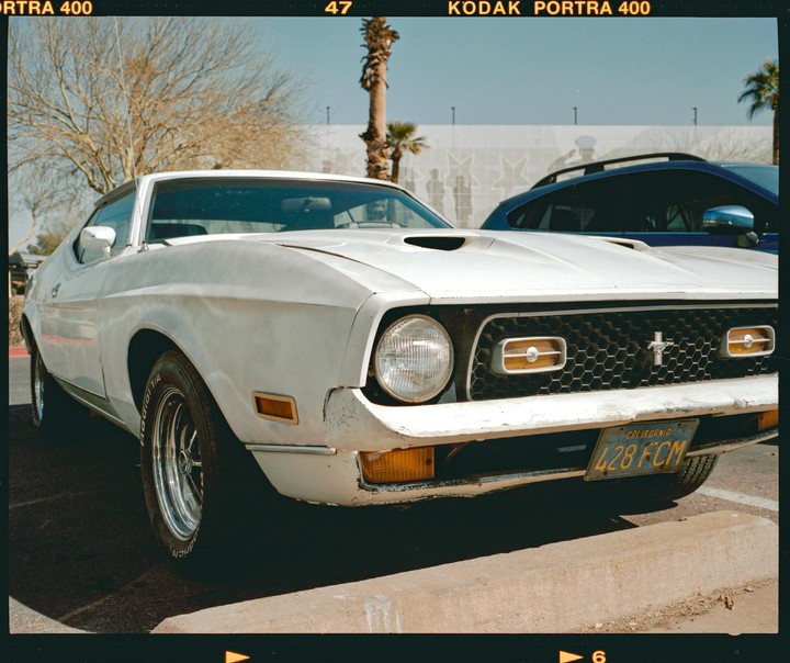A white Ford Mustang Mach 1 is parked on a street with a palm tree in the background.