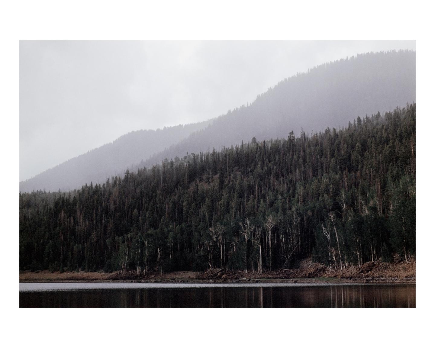 A dense forest covers a mountain range that slopes down to a calm lake under a hazy sky.