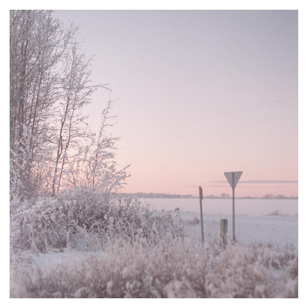 A snow-covered field with trees and a yield sign is visible under a pink sky.