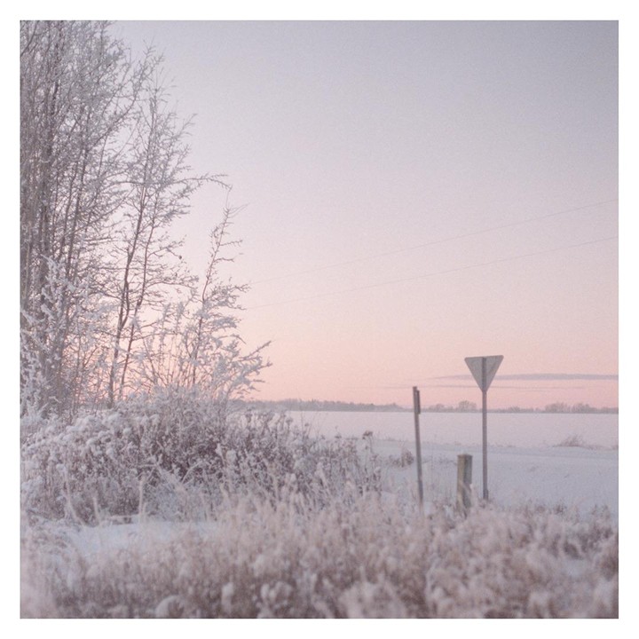 A snow-covered field with trees and a yield sign is visible under a pink sky.