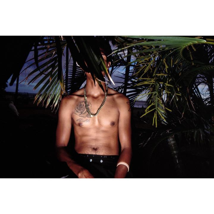 A man with a tattoo on his chest is partially obscured by palm fronds.