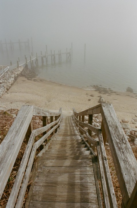 A wooden staircase leads down to a sandy beach and a foggy body of water with wooden posts.