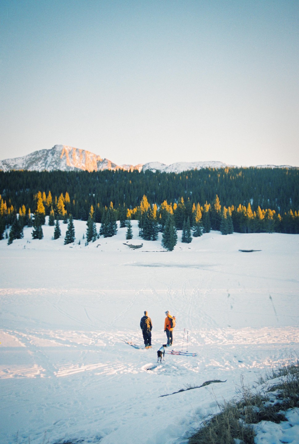 Two men and a dog stand on a snow-covered field with skis, facing a forest and mountains in the distance.