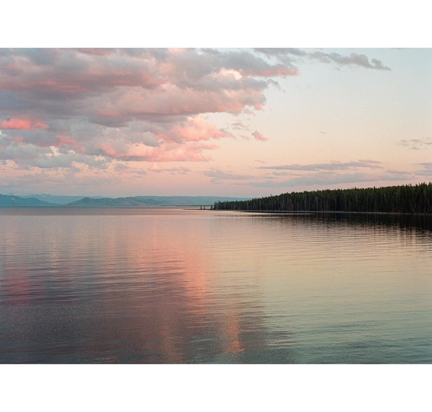 Pink clouds are reflected in a calm lake next to a forest at golden hour.