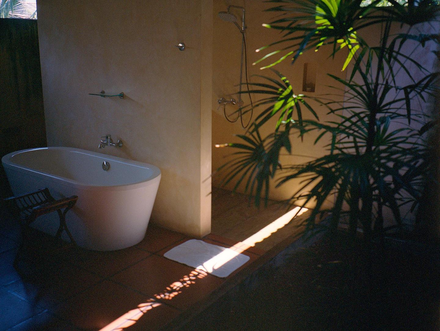 Sunlight streams into an outdoor bathroom with a white bathtub and a green plant.
