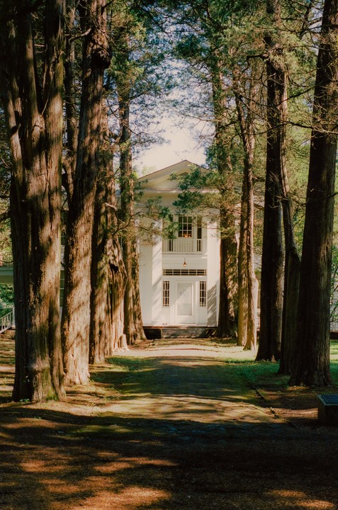 A white house with a balcony is visible through a path lined with tall trees.