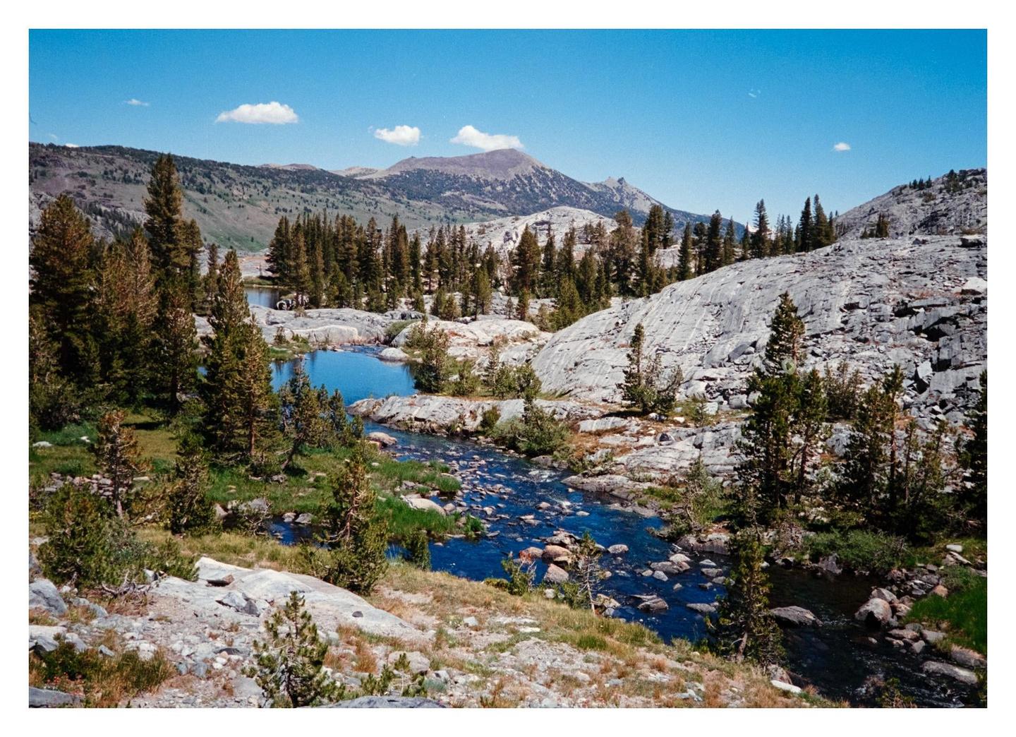 A stream flows through a rocky, mountainous landscape with pine trees under a clear blue sky.