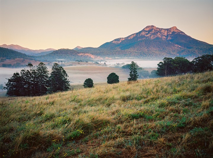 A misty valley with trees and a mountain in the background is seen from a grassy hillside.