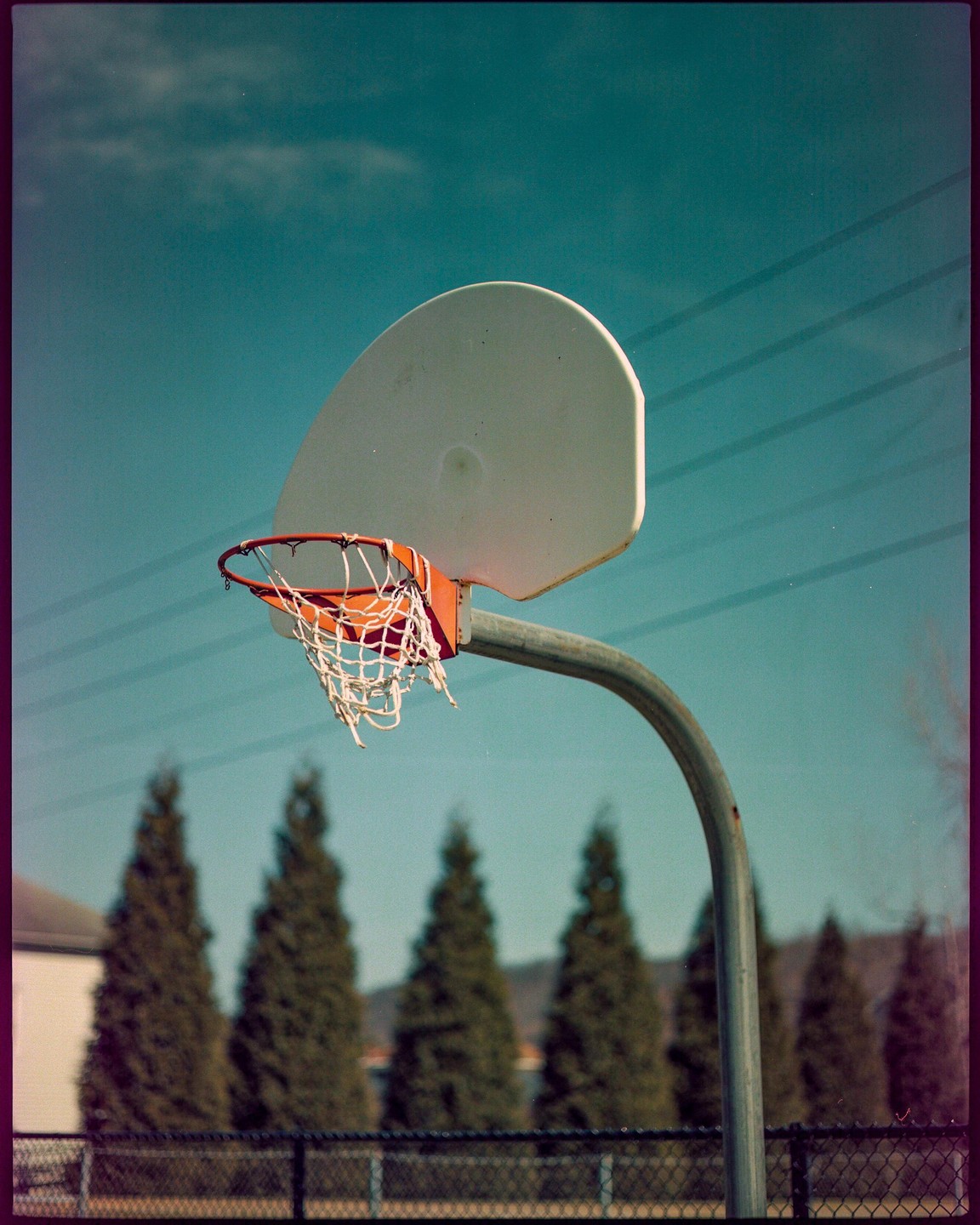 A basketball hoop with a white backboard and orange rim stands against a clear blue sky, with a line of evergreen trees in the background.