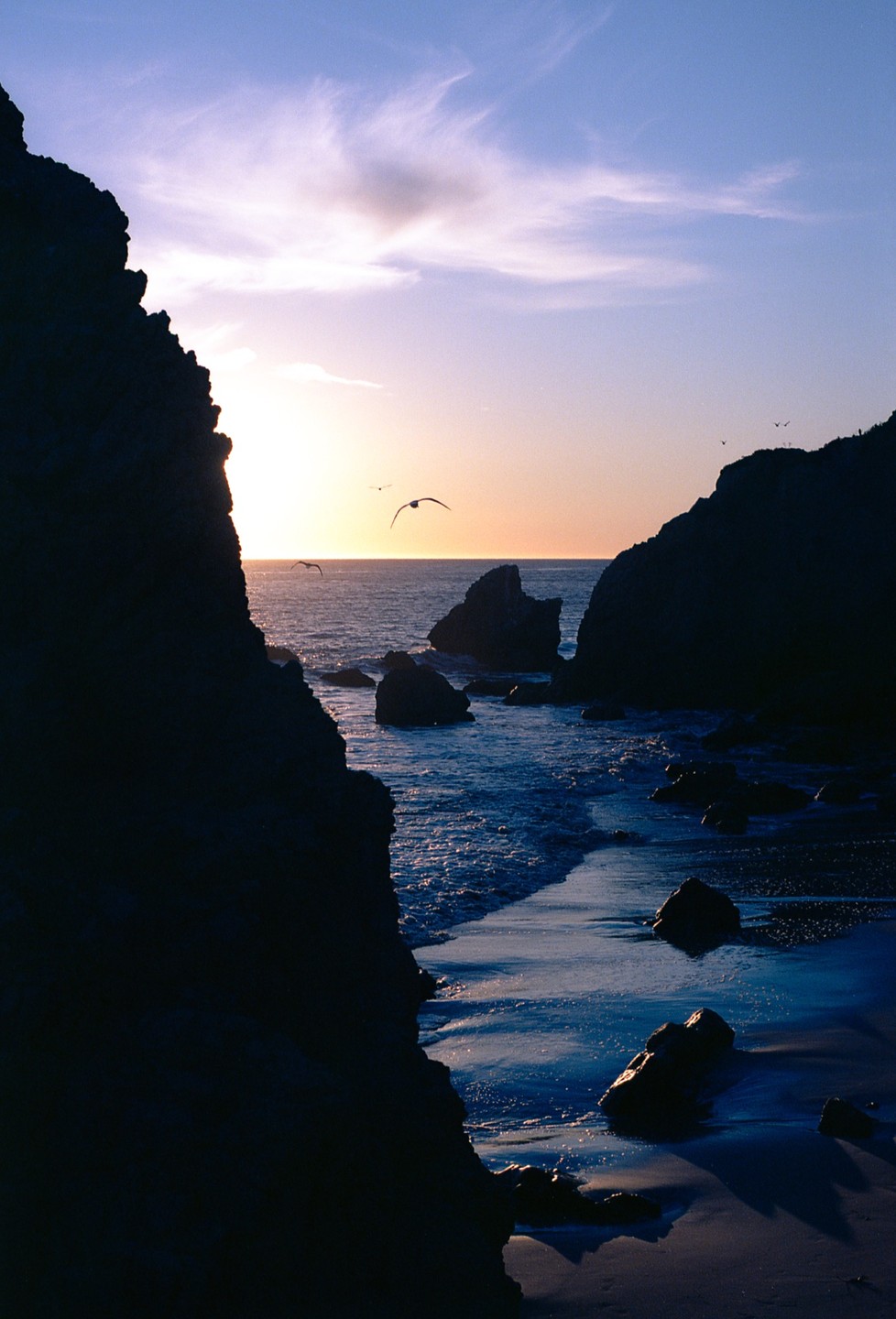 The sun sets over a rocky beach with waves washing ashore and several birds flying in the distance.