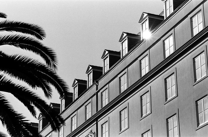 A palm frond frames a building with dormer windows and sun flare.