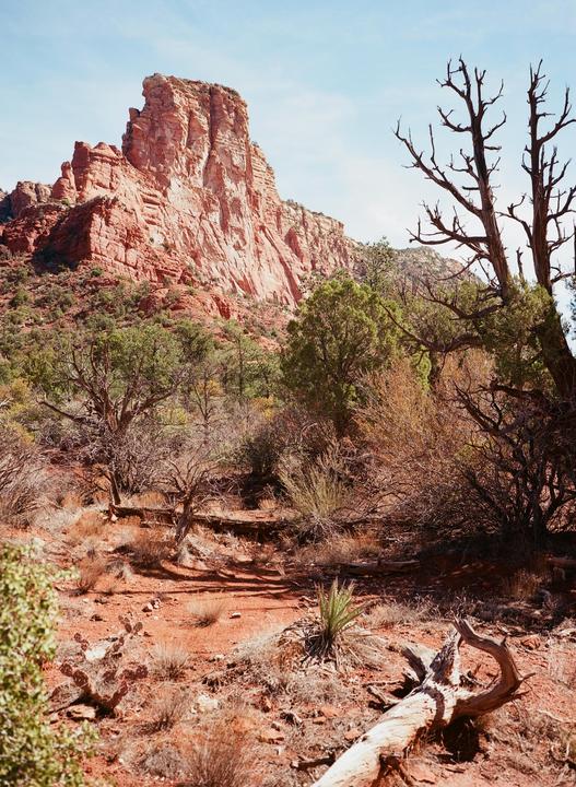 A red rock formation rises above a desert landscape with sparse vegetation and a fallen tree trunk.