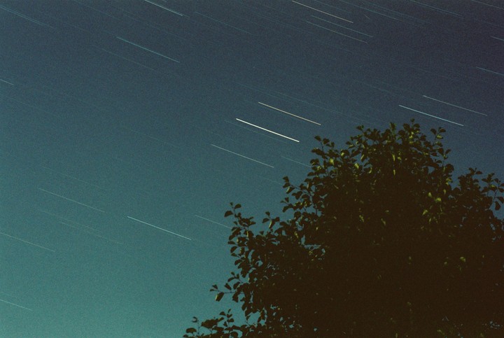 A dark tree is silhouetted against a night sky filled with star trails.