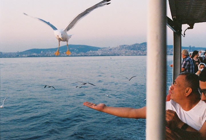 A man extends his arm to feed a seagull flying over the water with a city in the background.