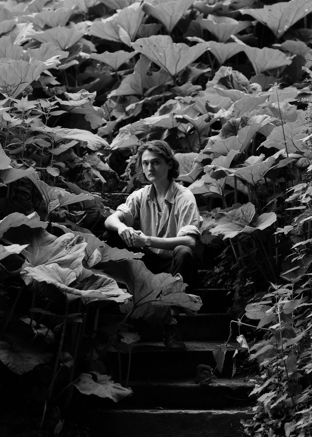 A man sits on concrete steps surrounded by large leaves.