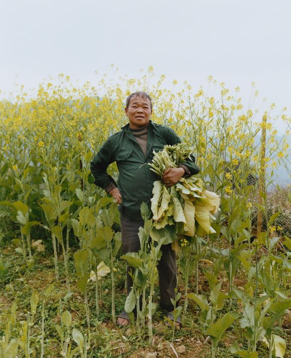 A man stands in a field of yellow flowers, holding a bundle of green leafy vegetables.