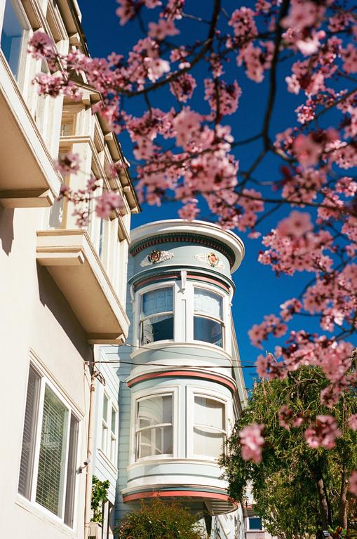 A light blue turret building with white trim is framed by pink blossoms against a clear blue sky.