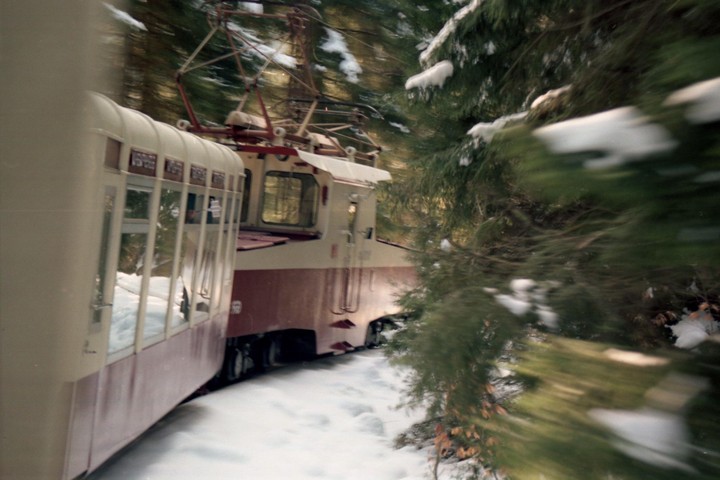 A train moves through a snowy forest.