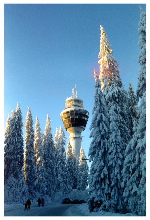 A tall tower with a circular observation deck rises above snow-covered pine trees under a clear blue sky.