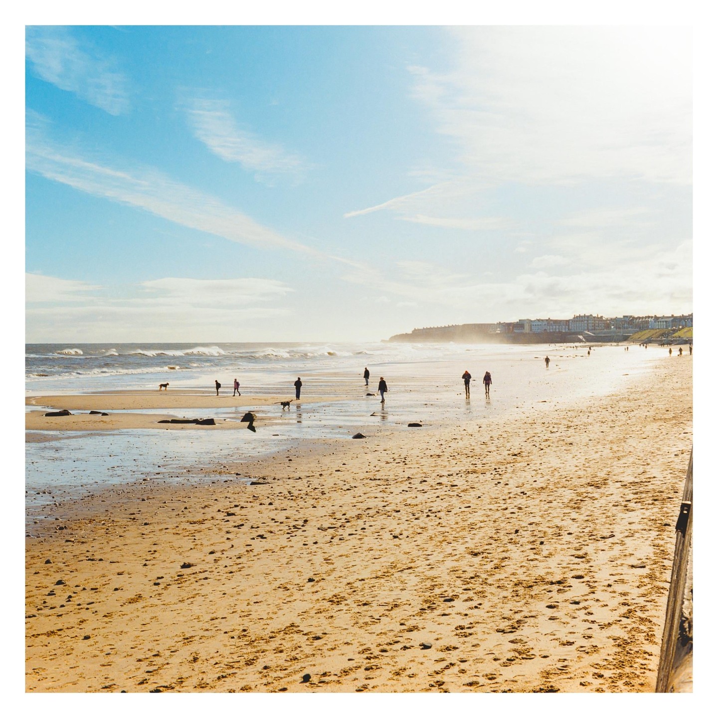 People and dogs walk on a wide sandy beach with waves crashing on the shore and buildings visible in the distance under a bright sky.