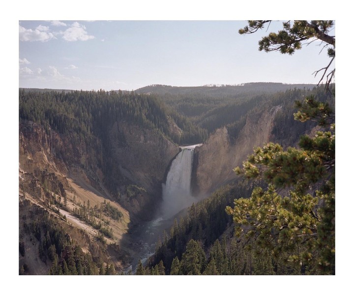 A waterfall cascades into a canyon surrounded by a forest under a bright sky.