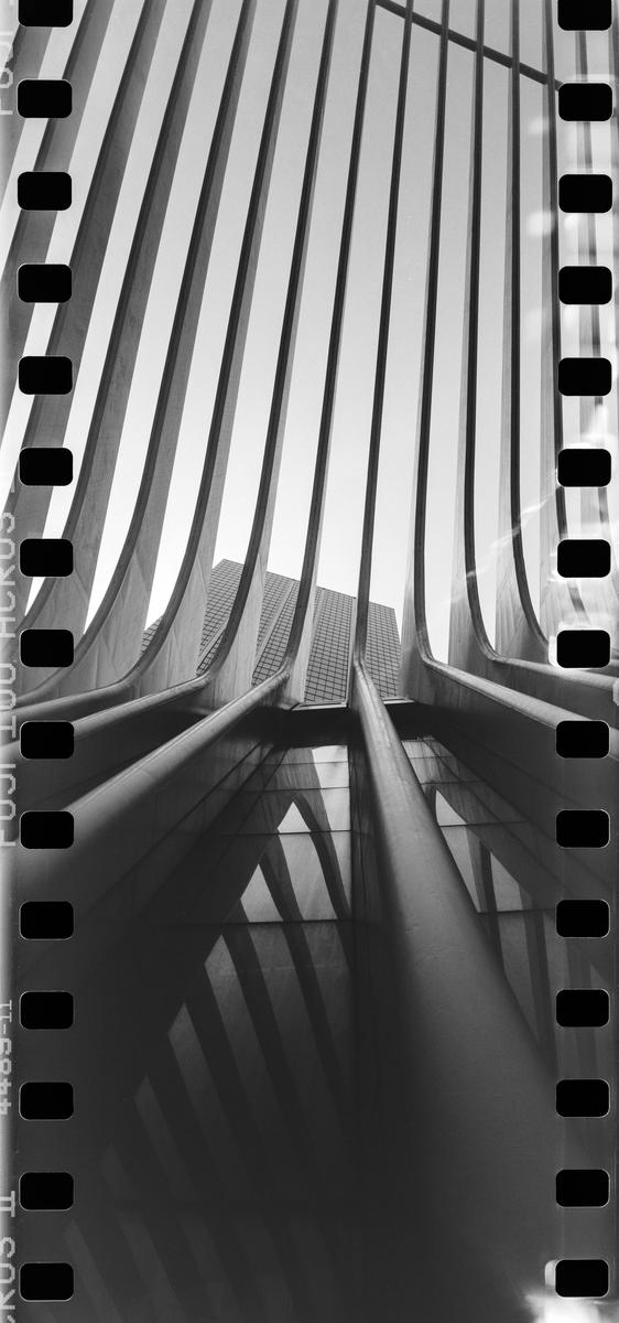 A low-angle view shows the curved, ribbed architecture of the Oculus building in New York City, with a taller building visible in the background.