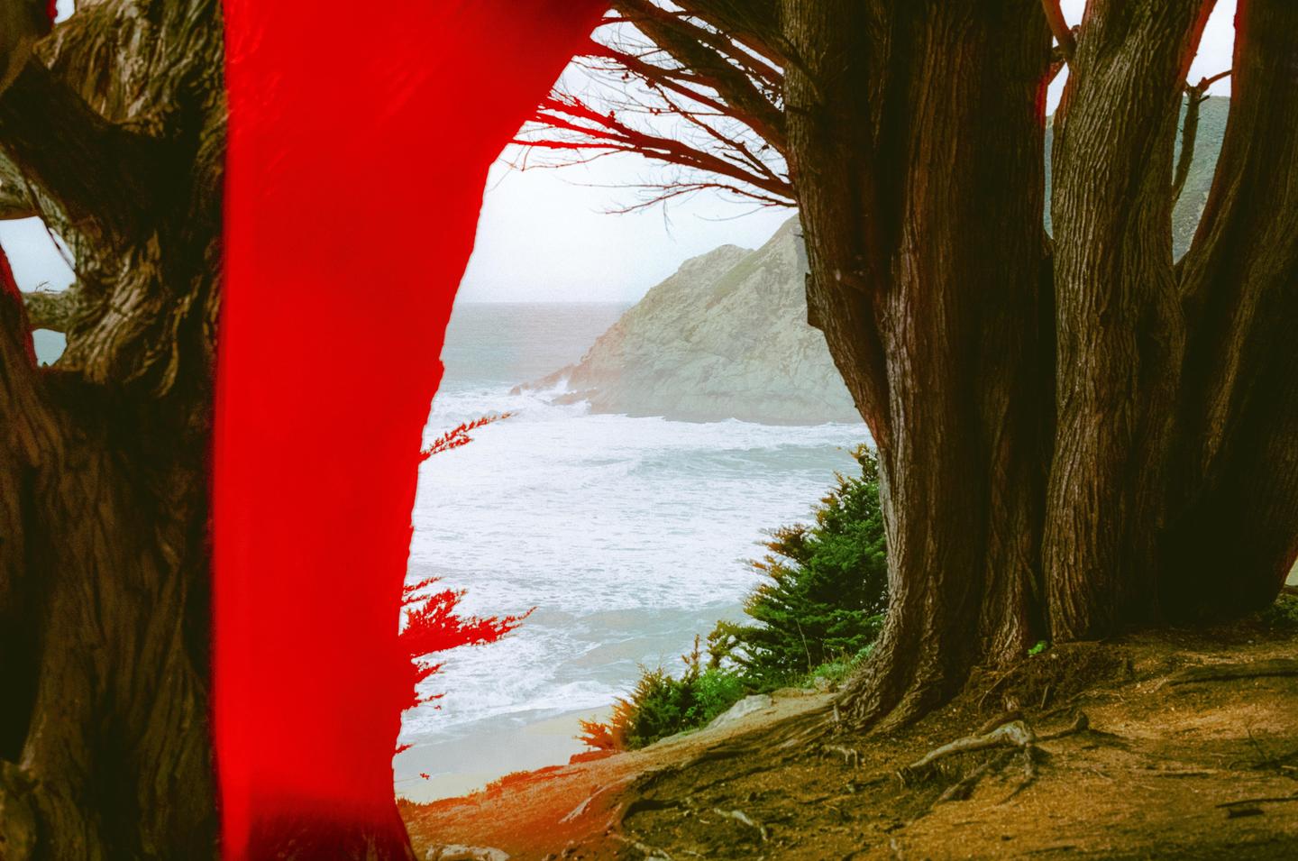 A red light leak partially obscures a view of the ocean and a distant headland through the trunks of two large trees.