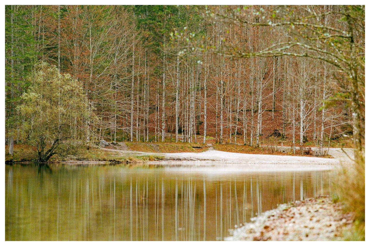 A body of water reflects a forest with autumn foliage and bare trees.